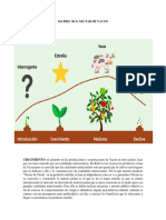 Matriz BCG Nectar de Yacon