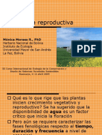 2 Fenología reproductiva.ppt