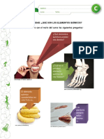 Guía Qué Son Los Elementos Químicos