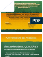 Presentacion Proyecto Autismo PDF