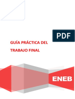 Guía Práctica del Trabajo Final - PNL 2018_.docx