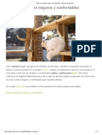 Patios para Gatos Seguros y Confortables