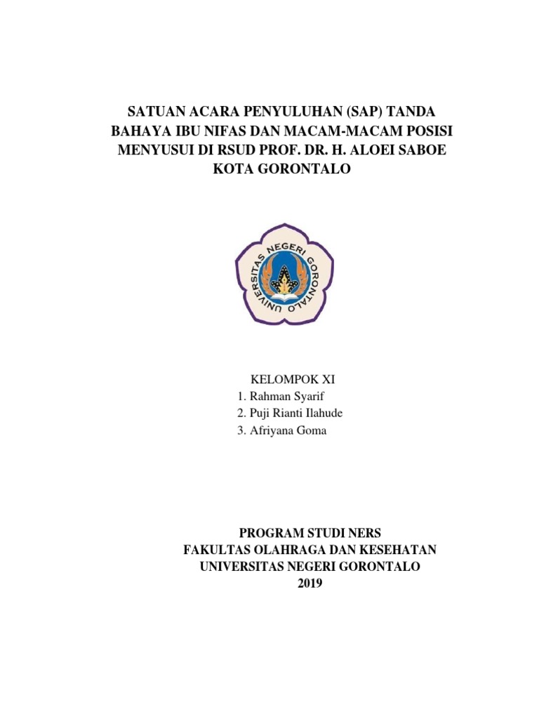 Sap Penkes Postpartum Kelompok 2 | PDF | Karier & Perkembangan ...