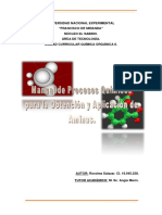 Manual-de-procesos-industriales-de-AMINAS-pdf.pdf