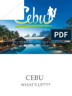 Cebu's Major Infrastructure and Transport Projects