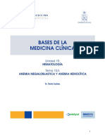 15_3_anemia_mega.pdf