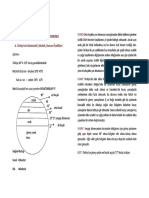 Coğrafya Uyarı Ve Notlar Engin ERAYDIN PDF