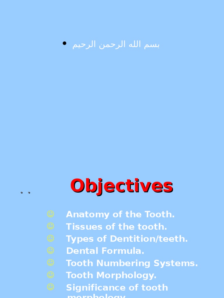 Tooth Surfaces and Morphology Overview | PDF | Tooth | Dental Anatomy