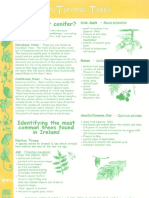 EcoIdentifyTrees.pdf