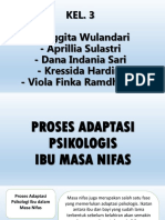 3.B. Proses Adaptasi Psikologis Ibu Pada Masa Nifas