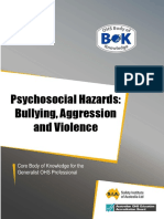 21 Hazard Bullying PDF