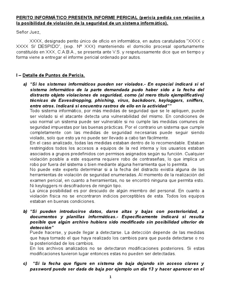 Modelo de Pericia Informatica | PDF | Archivo de computadora | Contraseña