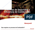 sistemas-de-seguridad-y-eficiencia-de-combustion.pdf