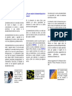 Brochure Informativo PDF