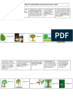 ESPECILIDAD DE ARBOLES