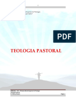(31) Teologia Pastoral - Copiar