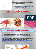 Histología animal 