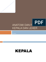 Anatomi Dan Fisiologi Kepala Dan Leher