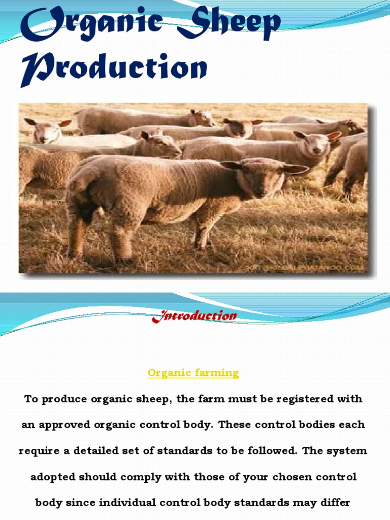Organic Sheep Production | PDF | Sheep | Organic Farming