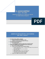 El Juicio Rapido PDF