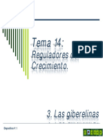 Tema 14c Reguladores Del Crecimiento. Giberelinas