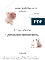 Doenças de suínos oficial.pptx
