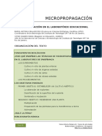 Micropropagacion_laboratorio_educacional.pdf