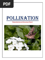 Pollination