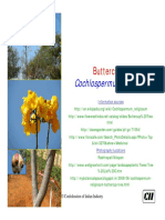 Cochlospermum Religiosum