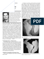 Hydroplatetheoryreviewed-Walt Brown PDF