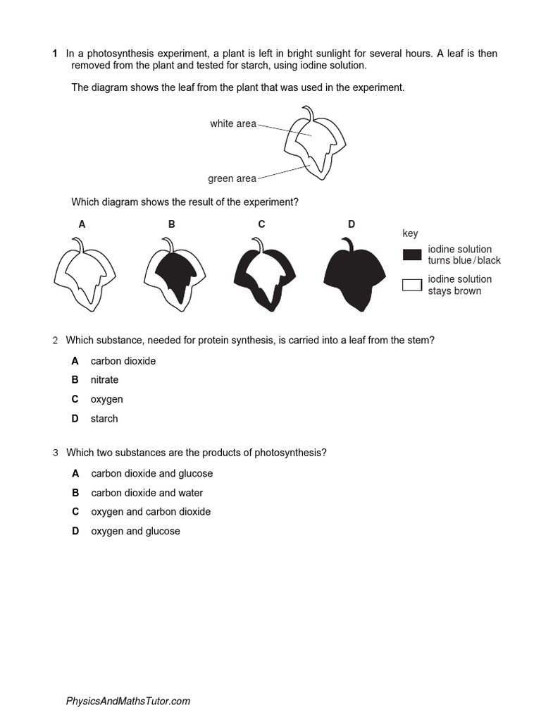 Plant Nutrition (Multiple Choice) QP PDF | PDF | Leaf | Photosynthesis