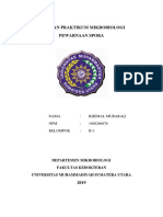 Laporan Praktikum Mikrobiologi - B3 - Khemal Mubaraq