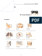 Tercera Parte Del Cuerpo Humano (A)