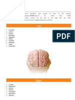 About Our Brains PDF