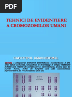 5.Tehnici Evid Crs Umani_s