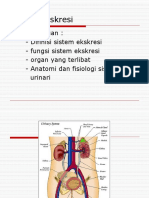 Sistem Urinari Anatomi Fisiologi Manusia