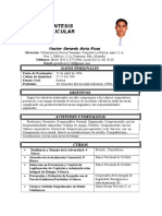 SINTESIS CURRICULAR NESTOR GERARDO (1)