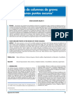 Columba de grava.pdf