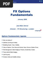 FX Options Fundamentals