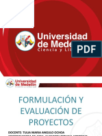 FYEP Introducción y Estudio Mercado