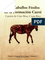 Caballos fósiles Formación Curré