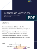 C15 Manejo de Cicatriz PDF