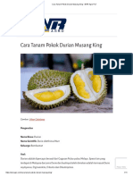 Cara Tanam Pokok Durian Musang King - WNR Agro PLT PDF