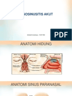 Elizabeth - Rhinosinusitis.pptx