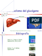 15 Metabolismo Glucogeno 2010