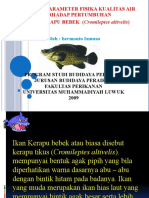 Ikan Kerapu Tikus