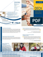 Deca 2020 PDF