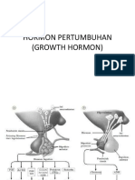 Hormon Pertumbuhan PDF