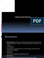 Hematopoiesis 3