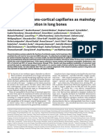 Gruneboon A et al. Light-Sheet mice vascularity. Nat Metabol, 2019.pdf